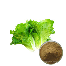 Factory supply nature pure wild lettuce powder